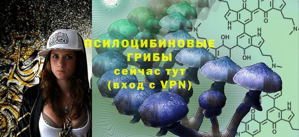 эйфоретик Дмитровск
